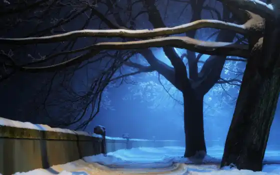ночь, снег, зима, природа, деревья, свет, алейка, парк, картинка, стена, 