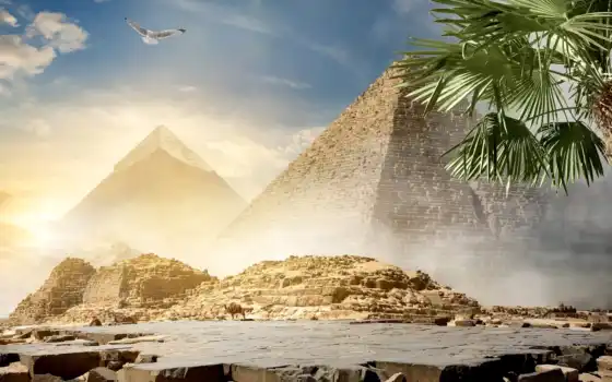 пирамиды, племена, египетские, пустыня, фото, запас, верблюд, египетский,