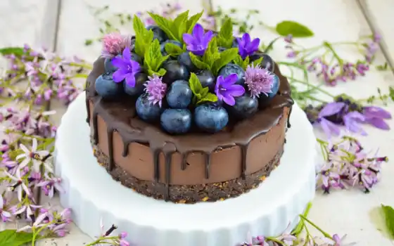 торт, шоколадный, желтый, черника, сладкое, пол, ягода, фиолетовый, десерт
