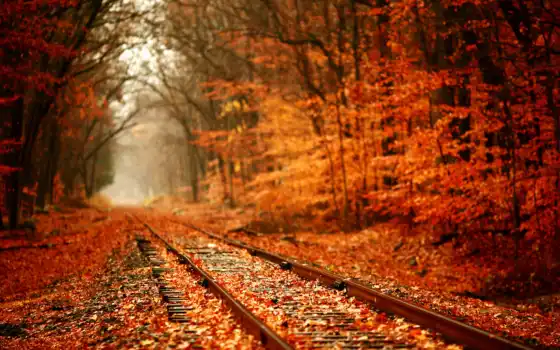 осень, железная дорога, подвижная, железная, железная, железная, железная, железная дорога, оптовые, вертикальные, горные, железные дороги, железные дороги, газообразные, лесные,