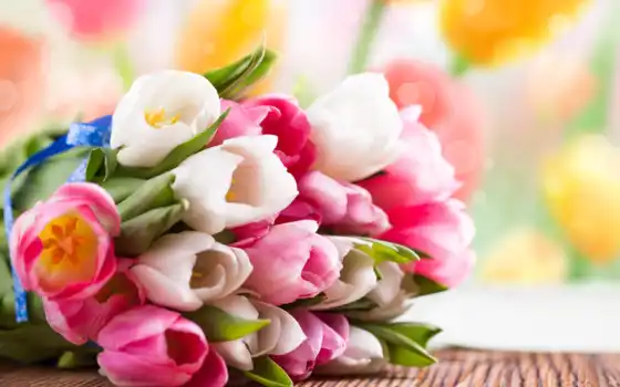 весна, тюльпан, цветное, веселье