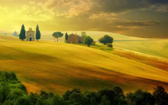 tuscany, italy, ландшафт, пейзаж, поле, холм, сельская местность, лето, закат, осень, дерево