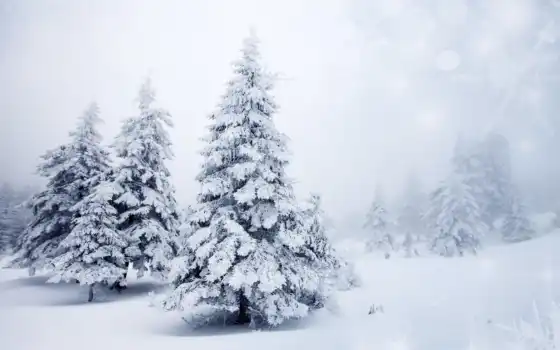 зима, горные, елки, деревья, лесные, пейзаж, год, время,