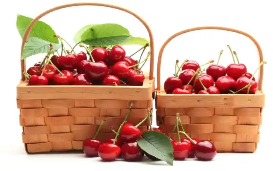 cherry, корзина, плод