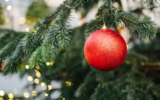 christmas, red, дерево, мяч, decoration