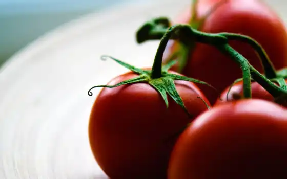 помидор, айда, зеленый, красный, растительный, растение