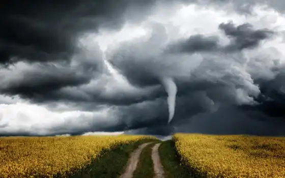 буря, ураган, торнадо, природа, поле, небо, тыс, картинка, найти, облако