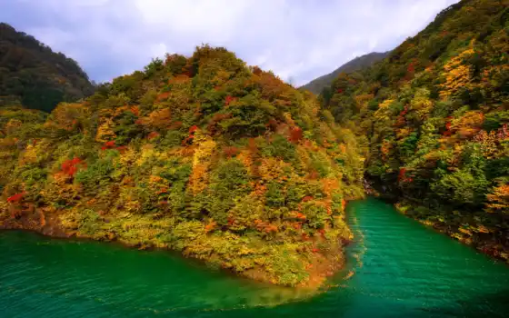 осень, япония, горы, озера, озеро, краска, тазава, лес, 