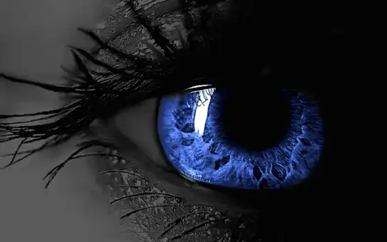 глаз, ресницы, blue, 