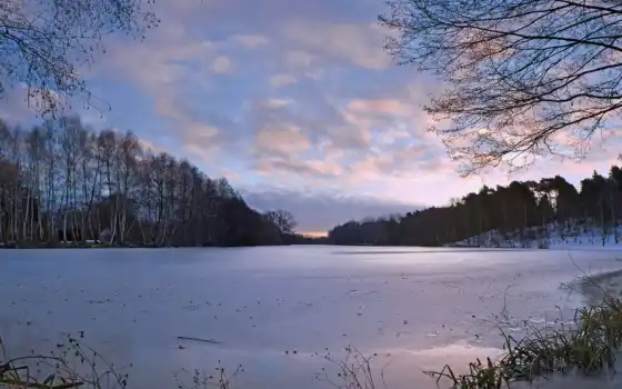 зима, деревья, снег, наледь, небо, природа, река, озеро, замерзлое, холод, 