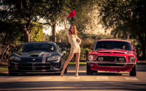 mustang, ford, car, shelby, the dodge, girls, viper,