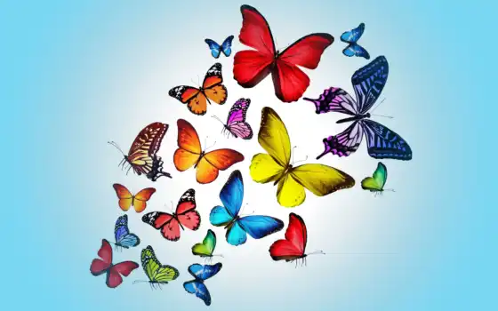 бабочки, рисунок, оптом, рисунки, мебели, живые, купить, бабочек, раскраски, 