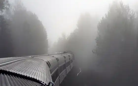 поезд, туман, лес, тумане, поезда, 