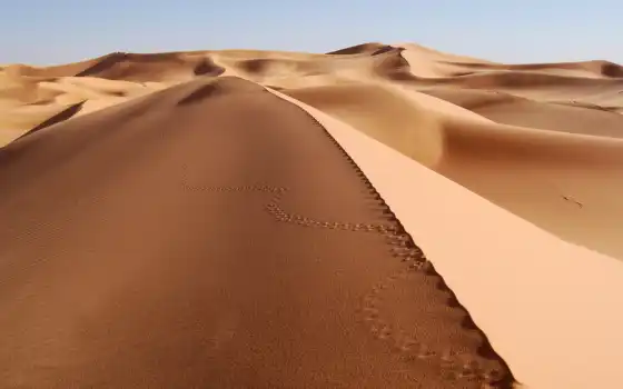 пустыня, песок,