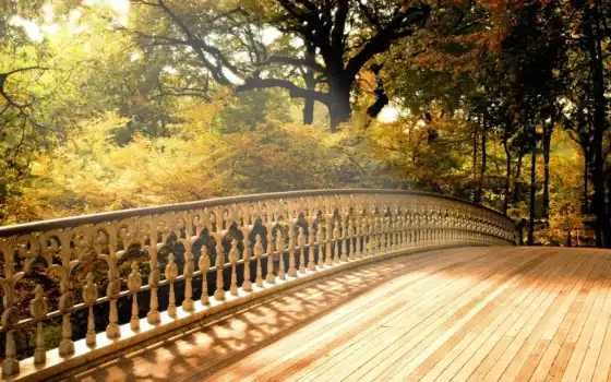 мост, осень, дерево, природа, лист, река, заставка, лес