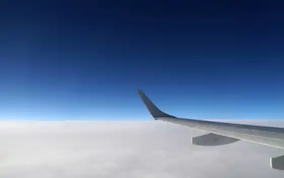 крыло, airplane
