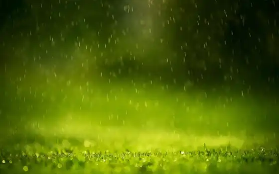 rain, green, raining, you, photography, netbook, drops, 