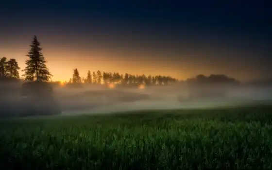 туман, поле, красивый, природа