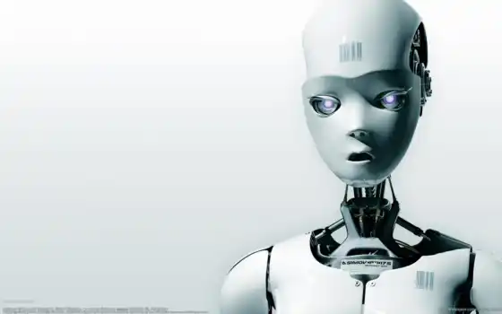 робот, роботы, txt, довитба, глагол, бас, русский, данные, bez,