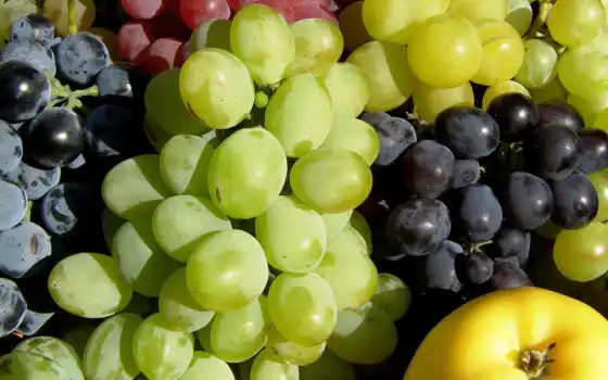 pantalla, fruta, смесь, uva, allsorts, fru, реальное, druivensoorten, todo, colore