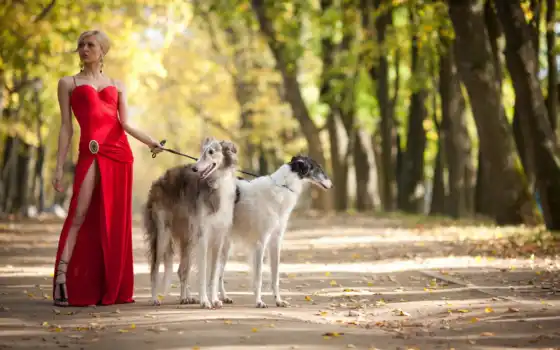 платье, красном, девушка, двумя, собаками, борзыми, 