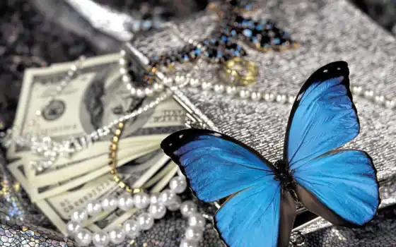 cool, money, pearl, бабочка