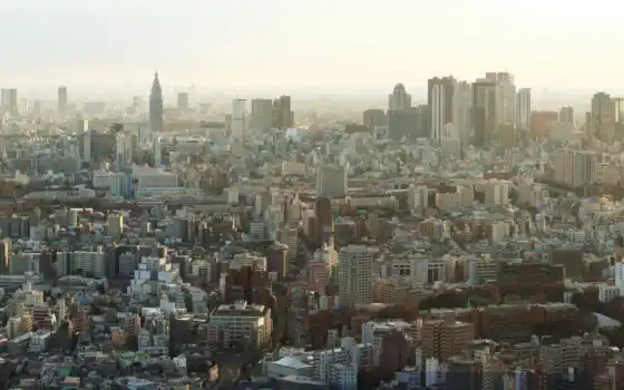 tokyo, город, sunshine, world, 