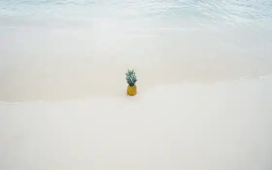 pineapple, пляж, плод, песок, море, ocean, фото