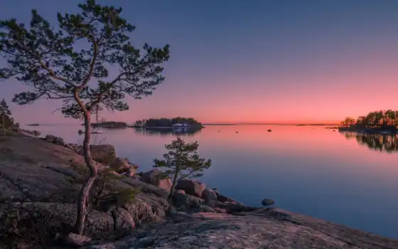 закат, дерево, озеро, финляндия