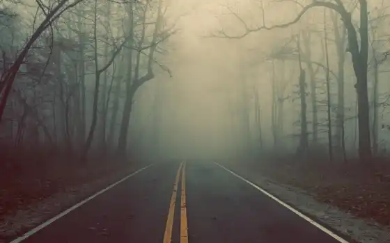 дорога, лес, туман, деревья, трасса, картинка, 