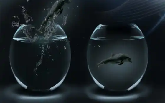 дельфины, рыбы, танки, красочные, цифровые, абстрактные, фотоны, симулируют,