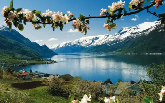 природа, цветы, гора, озеро, весна, красавица