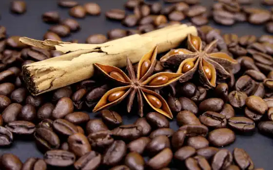 кофе, семя, циннамон, чашка, растровый, к примеру, фон, макс, фартук, арта