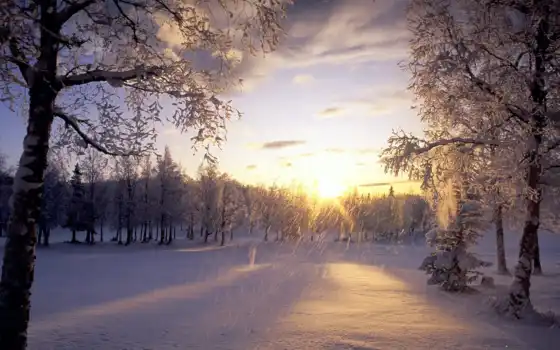 зимние, пейзажи -, природа, красивые, красивых, 