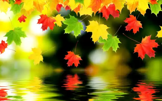 красивый, осень, лист