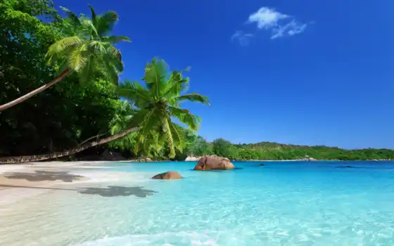 пляж, пальмы, тропики, песок, море, небо, рай, побережье, 