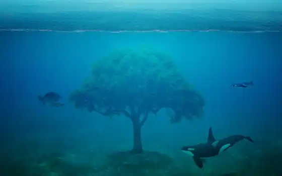 ocean, дерево, кит, fantasy, убийца, orca, море, черепаха, два, water, под