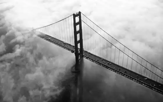 город, туман, мост, фотообои