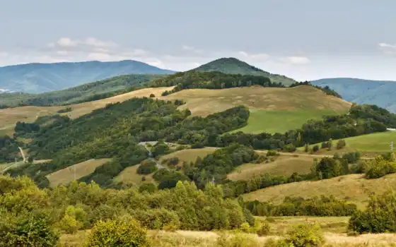 slovakia, гора, трава