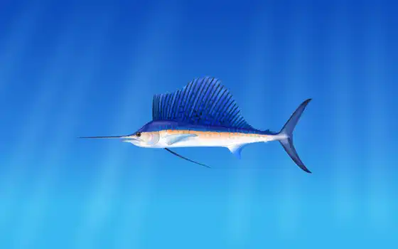 fish, marlina, blue, фон, animal, рисованный, лес, marine