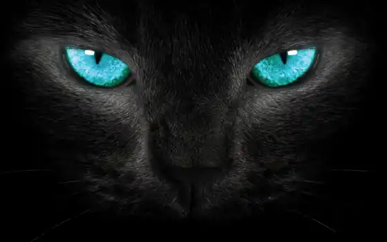 глаз, кот, черный, синий