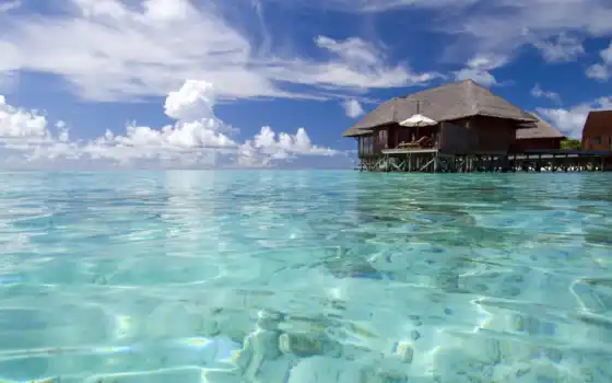 maldives, отдых, abrakadabra