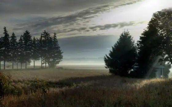 туман, природа, утро, деревья, поле, 