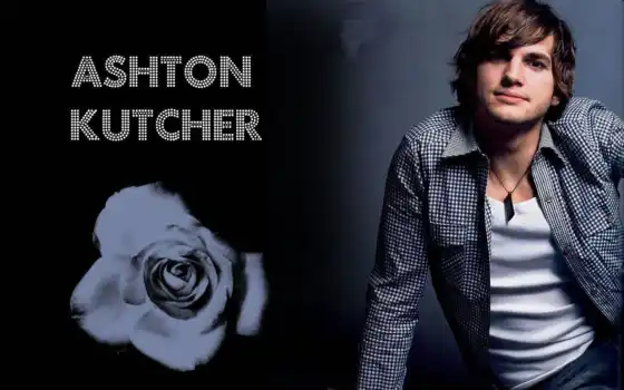 ashton, kutcher, белый, рубашка, чёrno, роза, черный,
