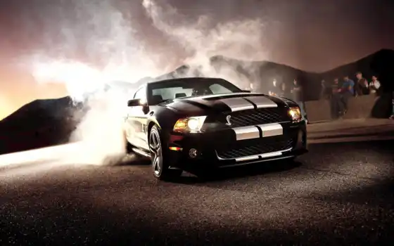 ford, shelby, mustang,