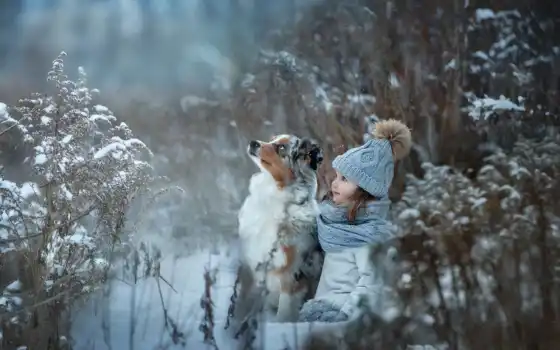 животное, малыш, милый, маленькое, собачье, шапка, зима