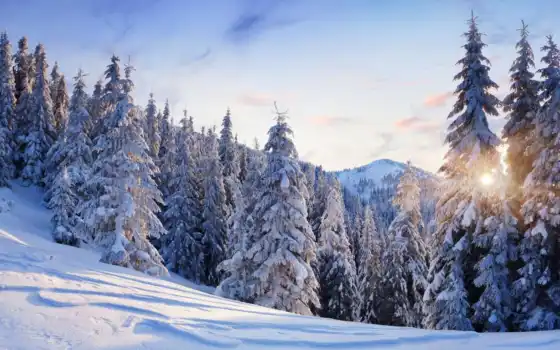 winter, снег, дерево, елка, гора, небо, sun, есть