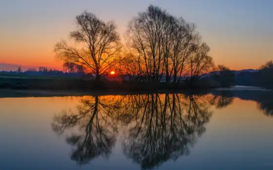 отражение, воде, trees, деревья, закат, солнце