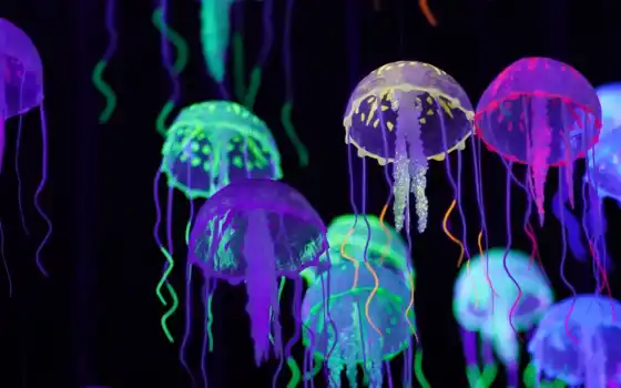 медузы, размноженные, красочные
