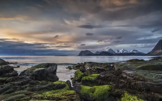 море, норвегия, нордленд, флакон, бурный, взгляд, живописный